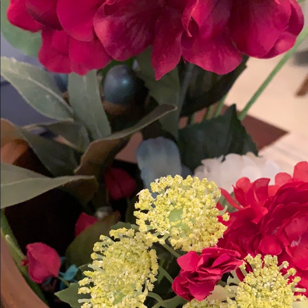 Meet your Posher, Jovelina